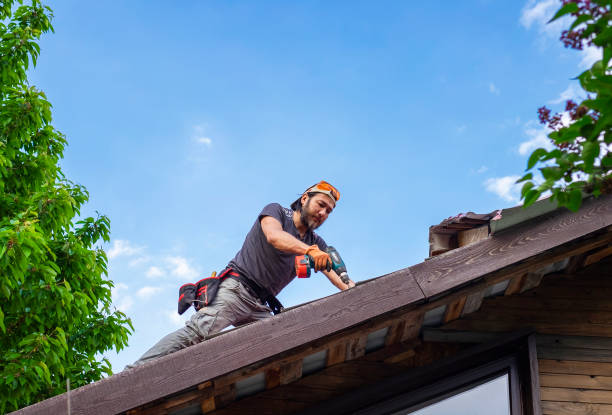 Professional  Roofing repair and installation in Palmer Ranch, FL